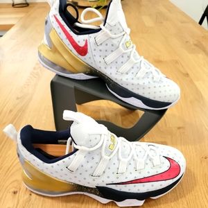 Nike LeBron 13 Low Olympic Sneakers